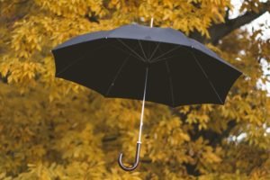 Exploring the Distinction Between Excess and Umbrella Insurance Policies